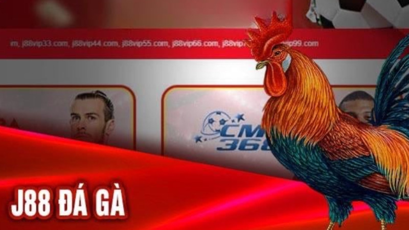 Ưu điểm vượt trội khi J88 đá gà